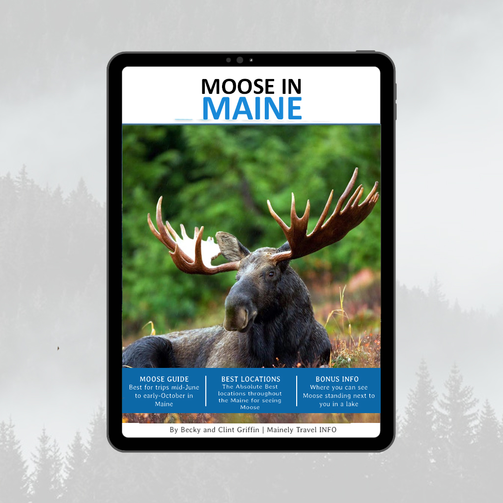 WEB-MOOSE GUIDE